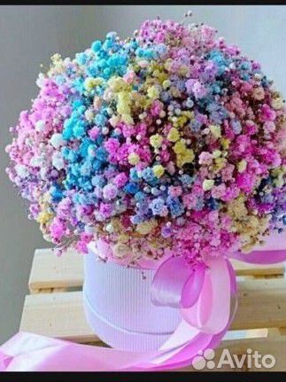 Букет из гипсофилы в коробке