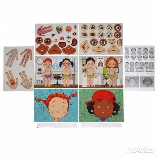 Настольная игра Тело человека 0538