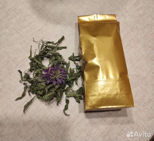 Садовый бергамот (монарда)