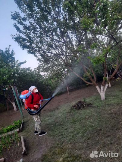 Професиальный садовник 15 лет в этой теме