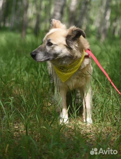 Букля ждет своих родителей