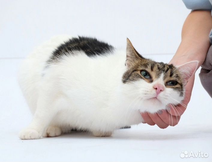 Очень ласковый и милый