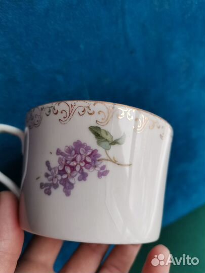 Чашка чайная сирень ранние советы трещинка паук