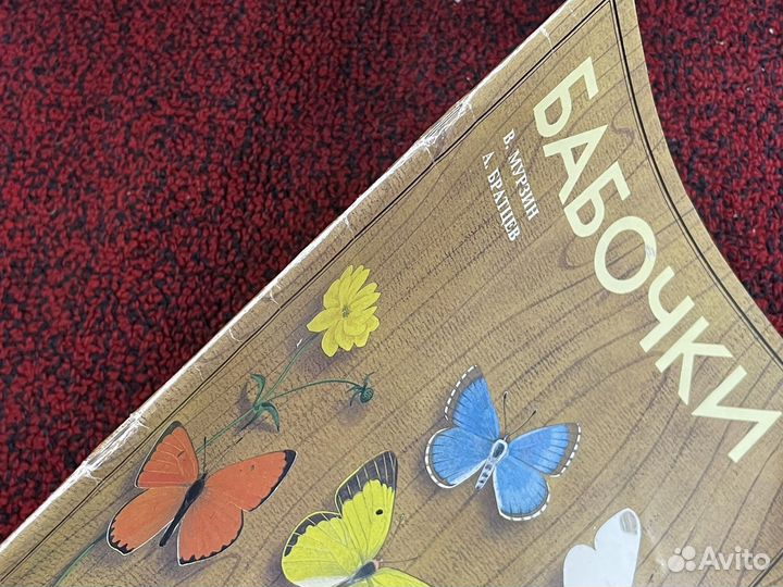 Мурзин - Бабочки - Атлас