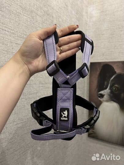 Шлейка для собаки