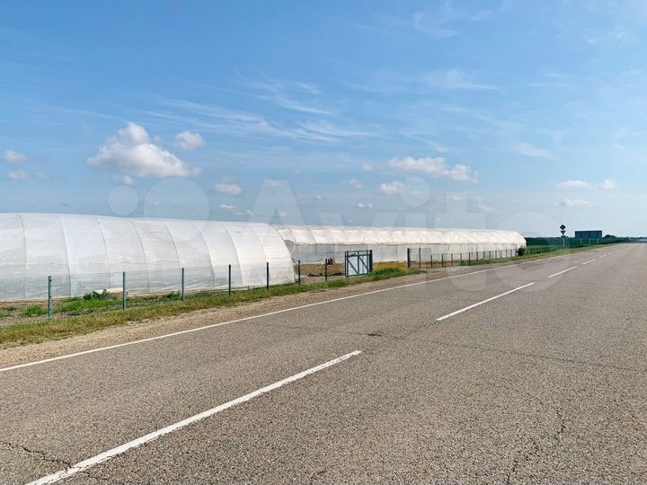 Готовый тепличный бизнес