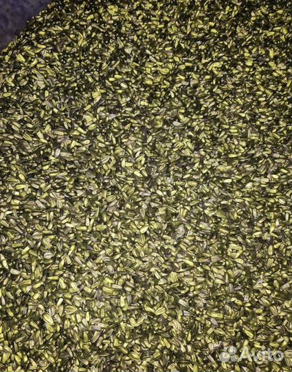 Семена подсолнечника казачий