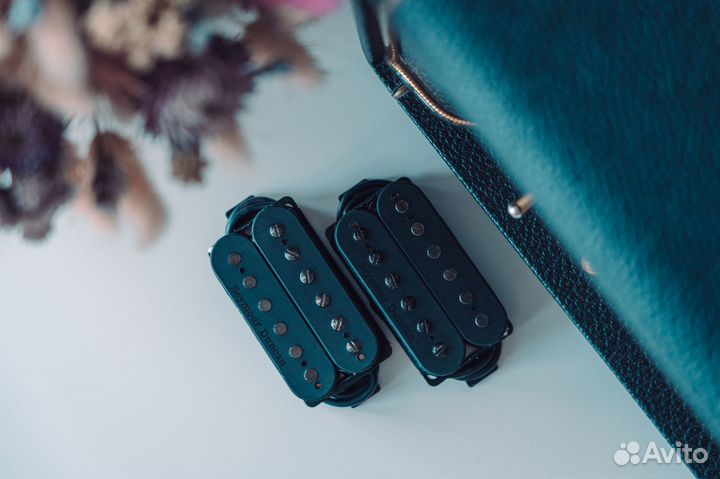 Seymour Duncan Pegasus Sentient