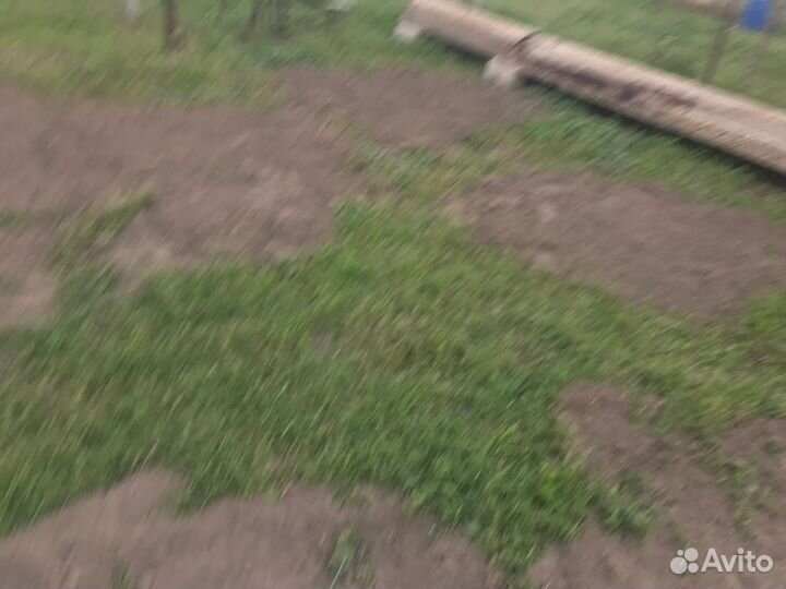 Кормушка для крс