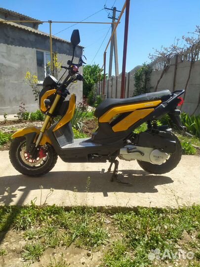 Vento Neked