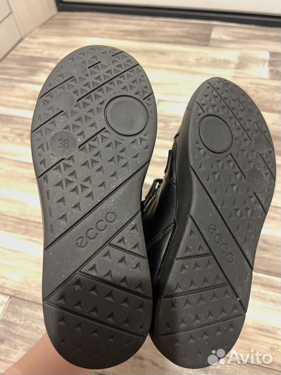 Ботинки демисезонные Ecco