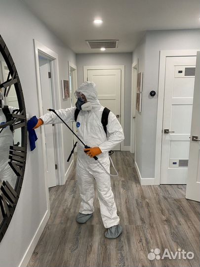 Уничтожение тараканов клопов обработка