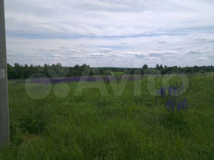 Участок 54 сот. (ИЖС)