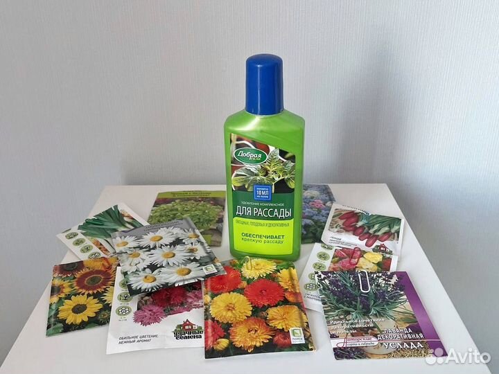 Семена растений