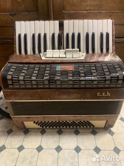 Аккордеон Теза