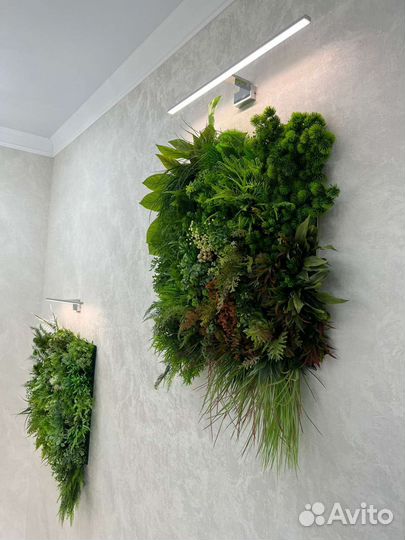 Фитокартина из искуссьвенных растений