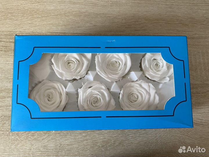 Стабилизированная роза