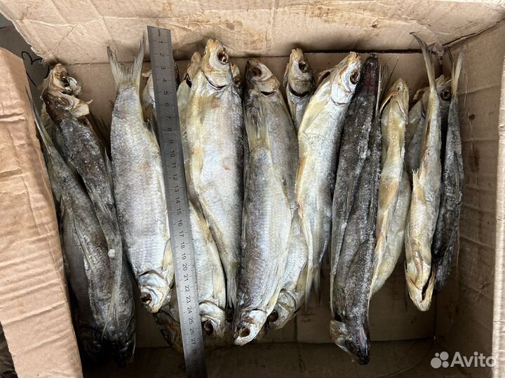 Лещ вяленый