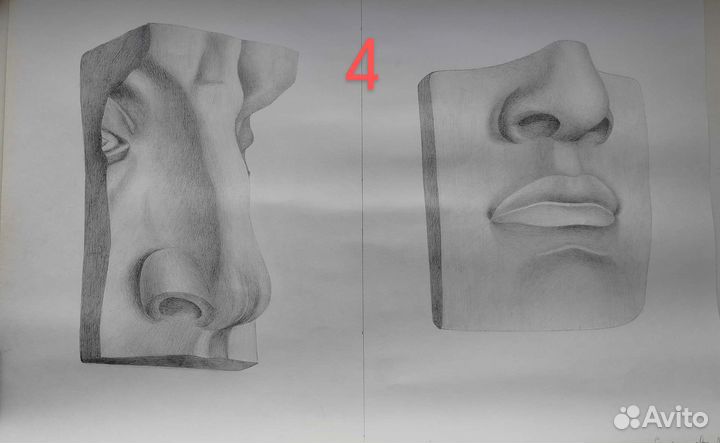 Академический рисунок голова, череп, части лица