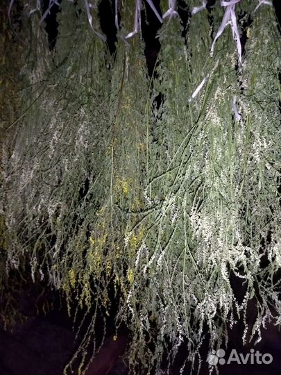 Лечебные травы