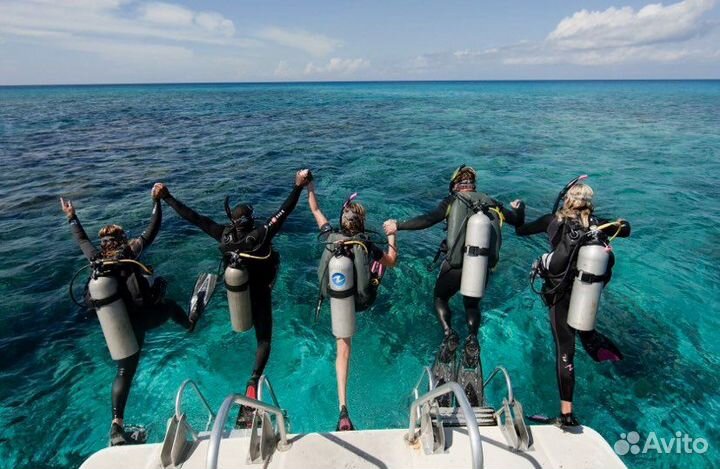 Дайвинг с катера/берега