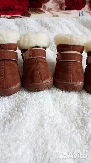 Сапожки и носки для собак (новые)