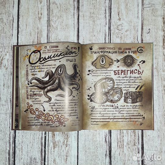 Книги, Дневники №1, №2 Гравити Фолз (А4 - 160 стр)