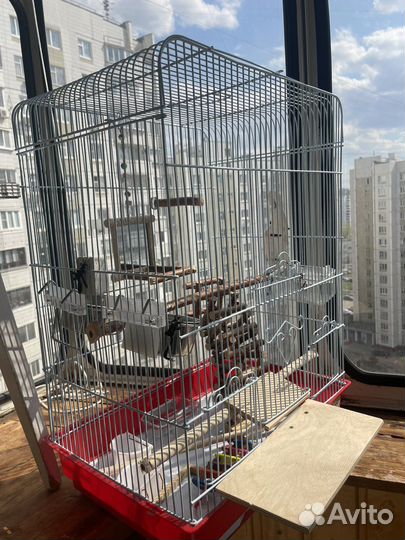 Клетка для попугая и жердочки