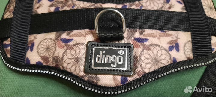 Шлейка для собаки Dingo