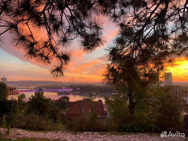 Репетитор по сербскому, английскому языку