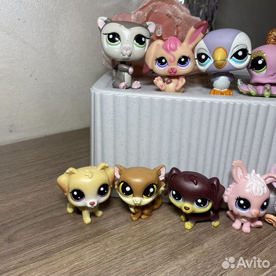 Littlest pet shop