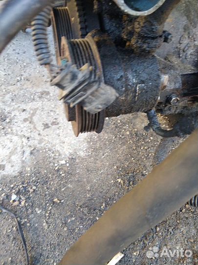 Гур на волгу