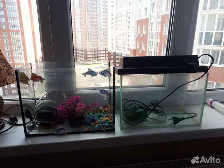 Аквариум