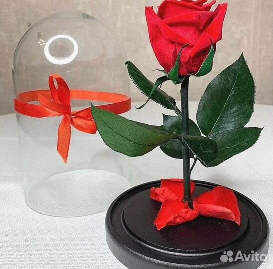 Роза в колбе