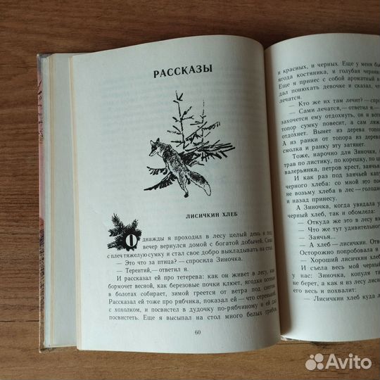 Пришвин Кладовая солнца Рассказы 1979 год