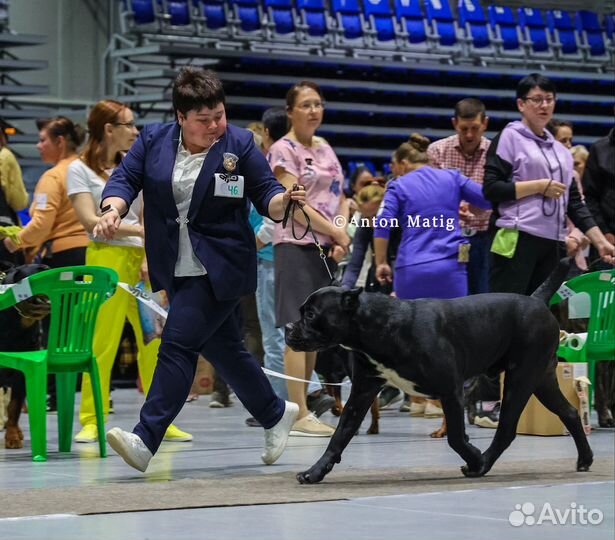 Уход за животными