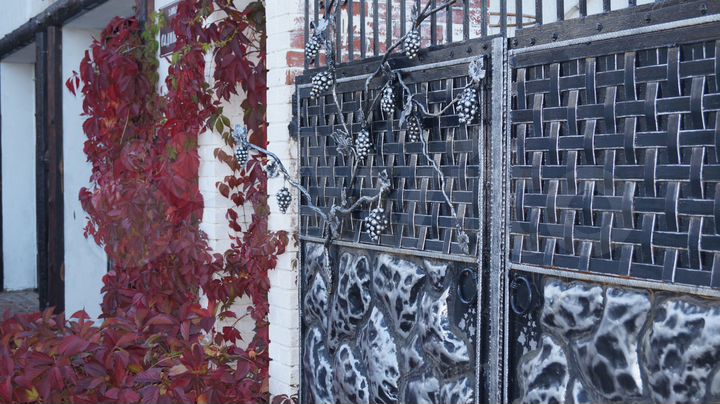 Коттедж 280 м² на участке 8 сот.