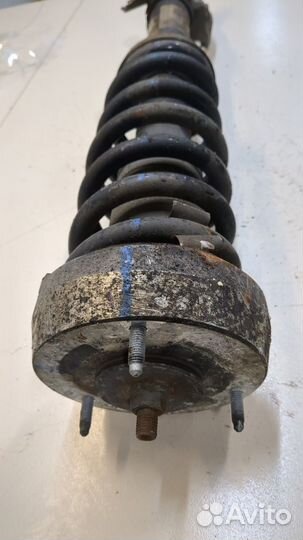 Амортизатор подвески BMW X6 E71, 2010