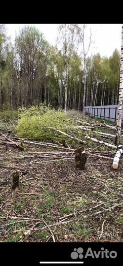 Удаление деревьев / Расчистка участков
