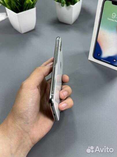 iPhone X, 256 ГБ