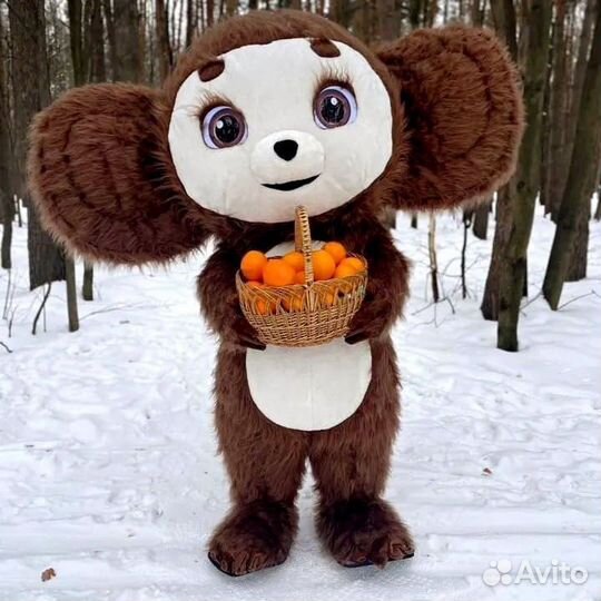 Поздравления от белого медведя