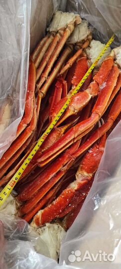 Клешни краба стригуна