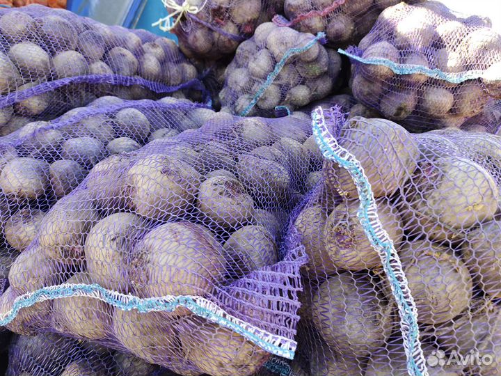 Свекла оптом