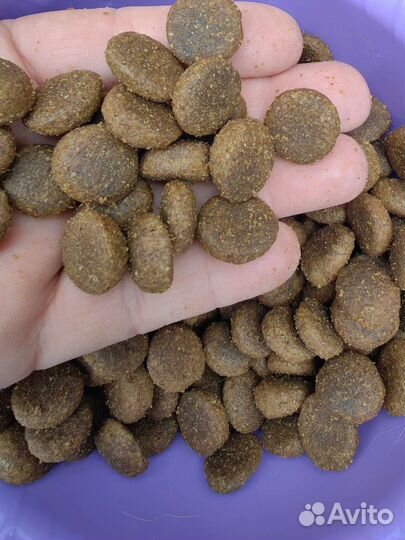 Сухой корм для собак 20 кг