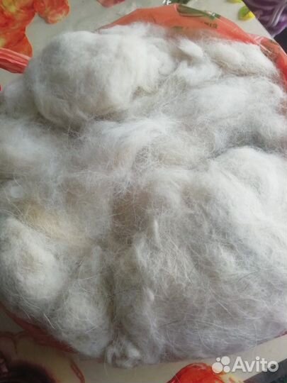 Собачья шерсть