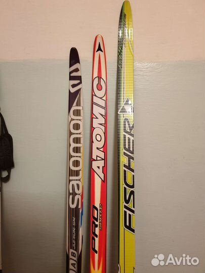 Беговые лыжи Salomon Madshus Dynamic Atomic Fische