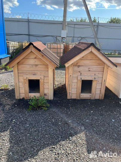 Будка собачья