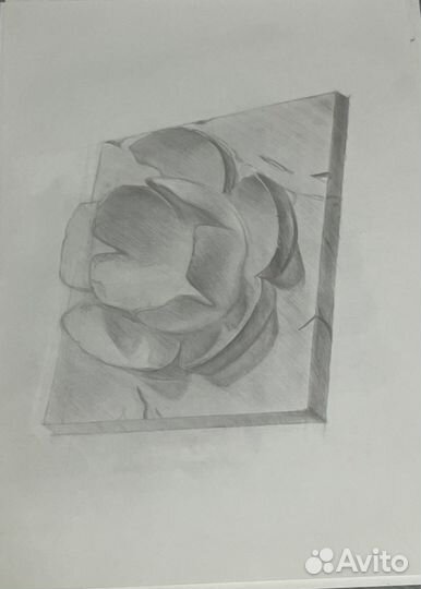 Репетитор по академическому рисунку