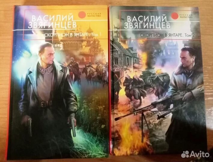 Книги (Василий Звягинцев)