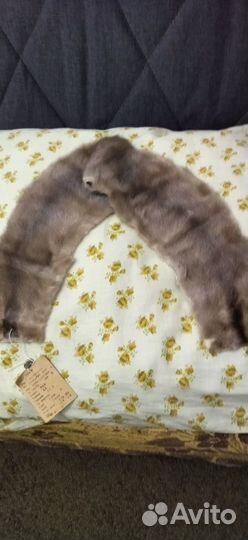 Шкурка животного